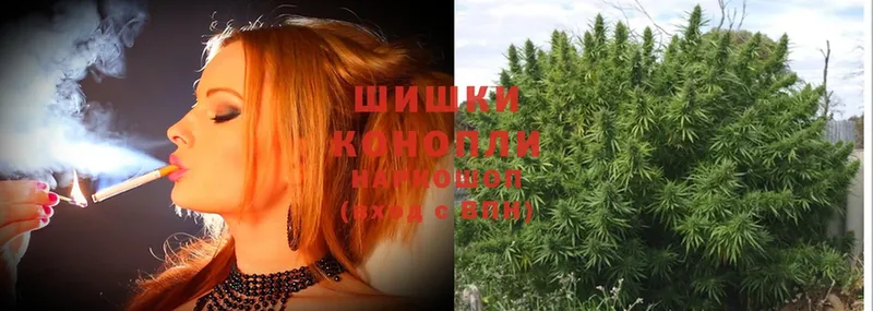 Конопля White Widow  где купить   Грайворон 